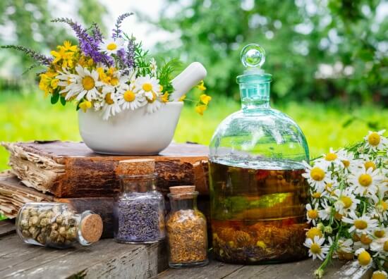 Image de graines et produits naturels illustrant le bilan naturo à orléans